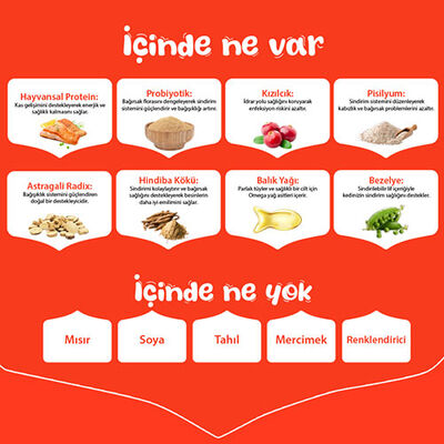 Wanpy With Oven Baked Bites Somonlu Tahılsız Yetişkin Kedi Maması 8 Kg 