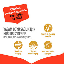 Wanpy With Oven Baked Bites Somonlu Tahılsız Yetişkin Köpek Maması 1,5 Kg - Thumbnail
