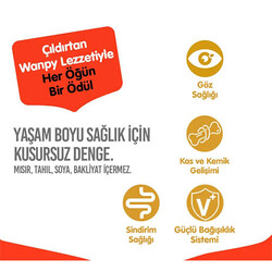 Wanpy With Oven Baked Bites Tavuklu Tahılsız Yavru Kedi Maması 8 Kg - Thumbnail
