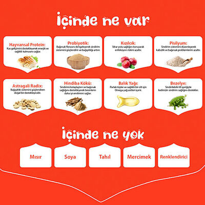 Wanpy With Oven Baked Bites Tavuklu Tahılsız Yetişkin Kedi Maması 1,5 Kg 