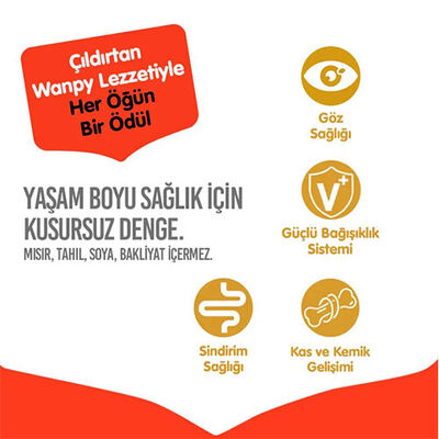 Wanpy With Oven Baked Bites Tavuklu Tahılsız Yetişkin Kedi Maması 8 Kg 