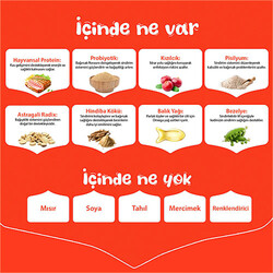 Wanpy With Oven Baked Bites Ton Balıklı Tahılsız Yetişkin Kedi Maması 1,5 Kg - Thumbnail