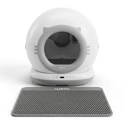 Wero Akıllı Kedi Tuvaleti Max Kameralı Versiyon CLB MAXCAM 