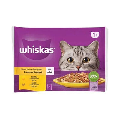 Whiskas Pouch Jöle İçinde Tavuklu ve Hindili Yetişkin Kedi Konservesi 4x85 Gr 